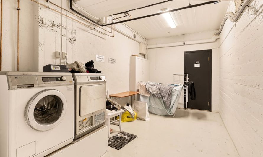 Ошибка F224 в стиральной машине Gorenje, помощь в Санкт-Петербурге